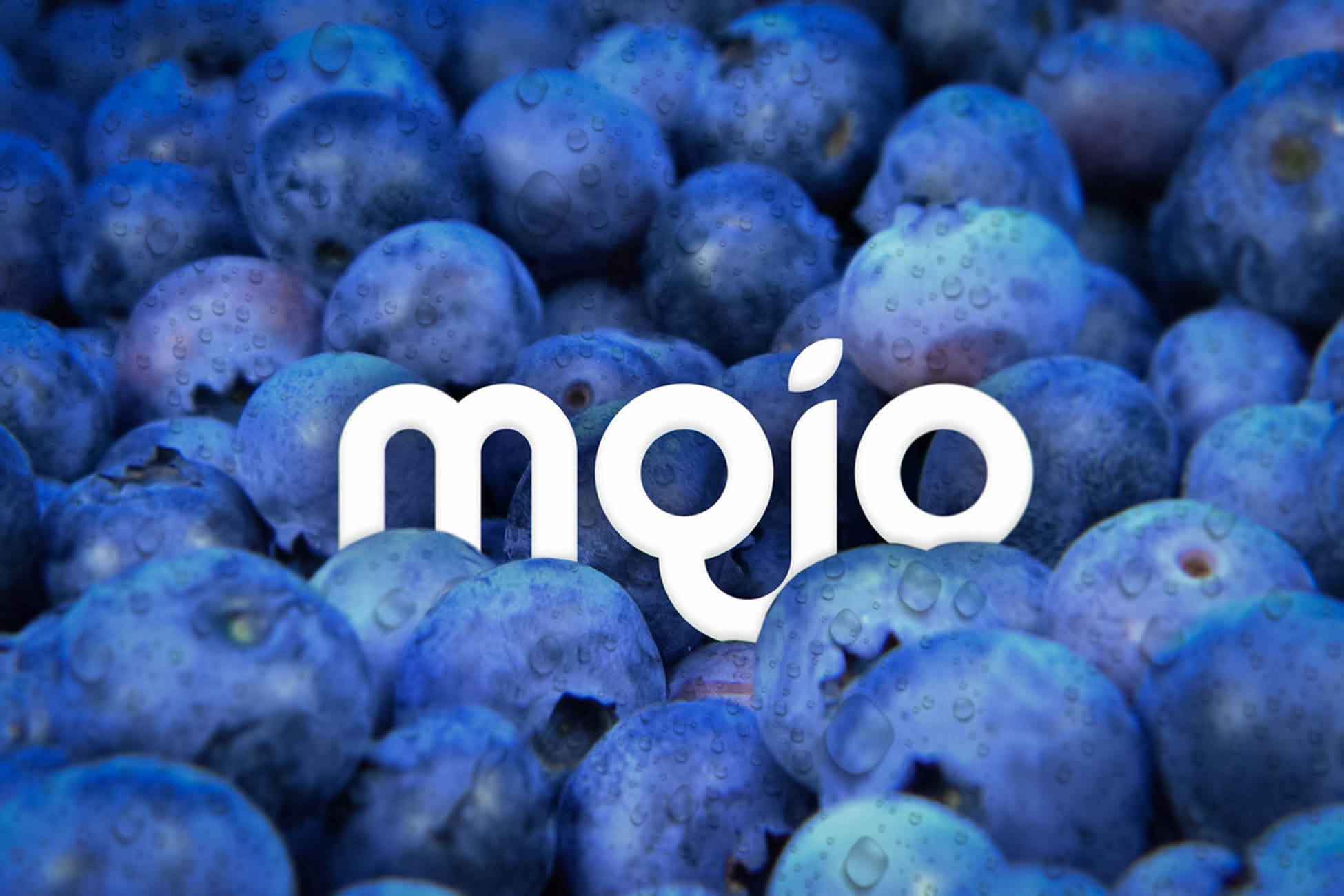 Mojo Blueberries and Logo